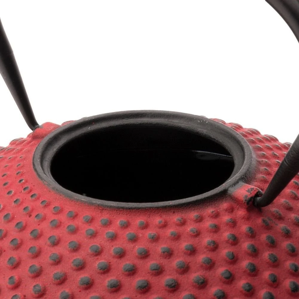 Bredemeijer 42oz Xilin Cast Iron Tea Pot | Red - Image 5