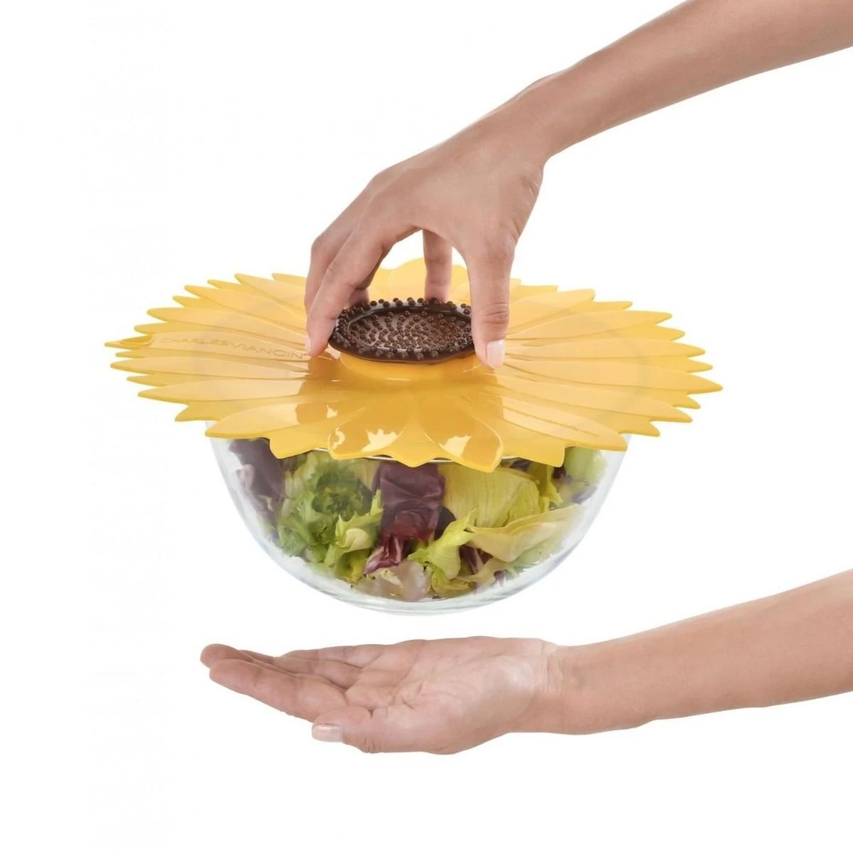 Charles Viancin Silicone Lid | Sunflower Gift Set (Set Of 4) - Image 5